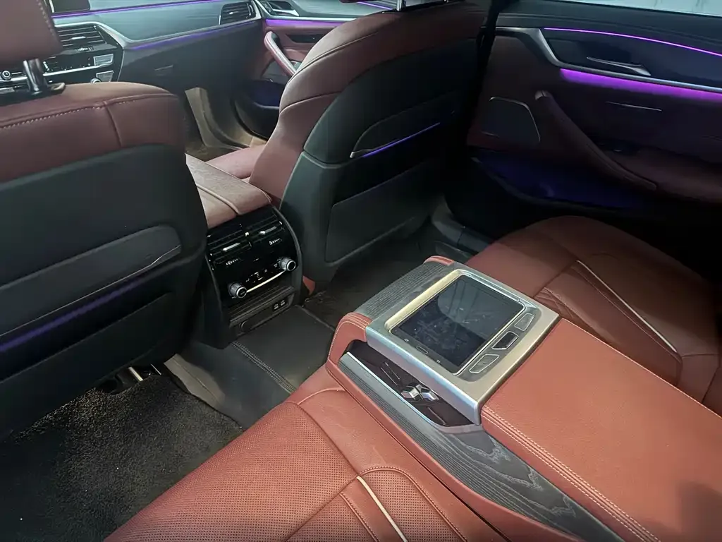 BMW 5 Series 2021 из CN, фото 9