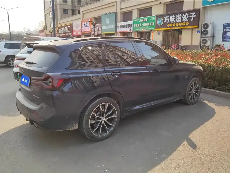 BMW X3 2023 из CN, фото 4
