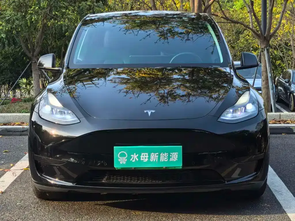 Tesla Model Y — фото 5