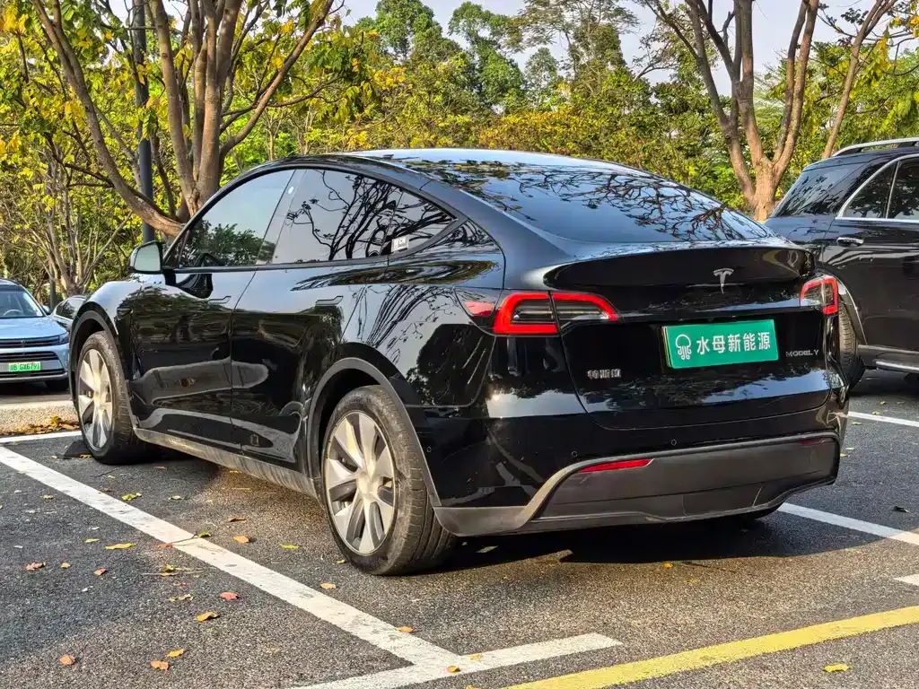 Tesla Model Y — фото 6
