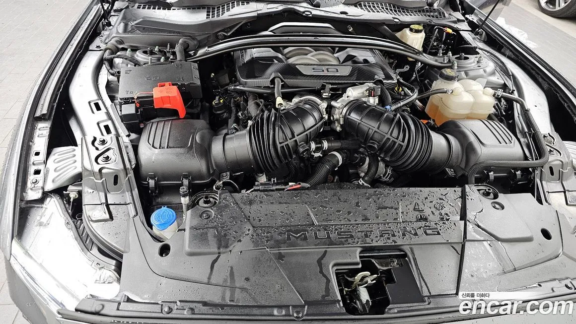 Ford Mustang 2024 из KR, фото 4