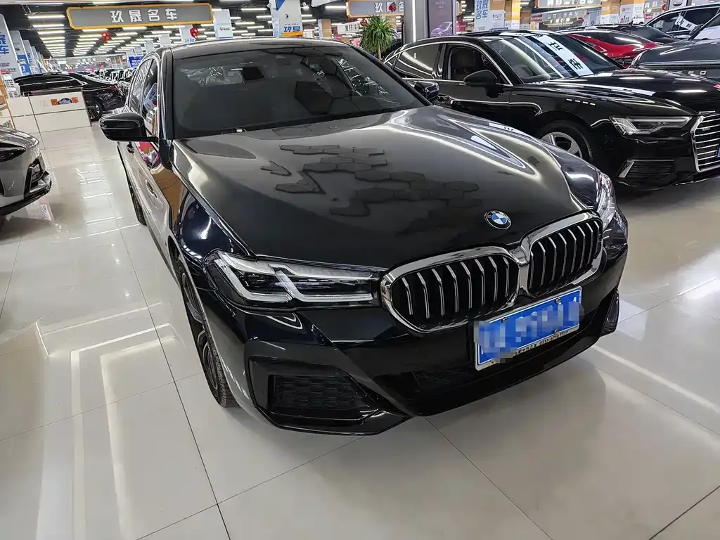 BMW 5 Series 2023 из CN, фото 2