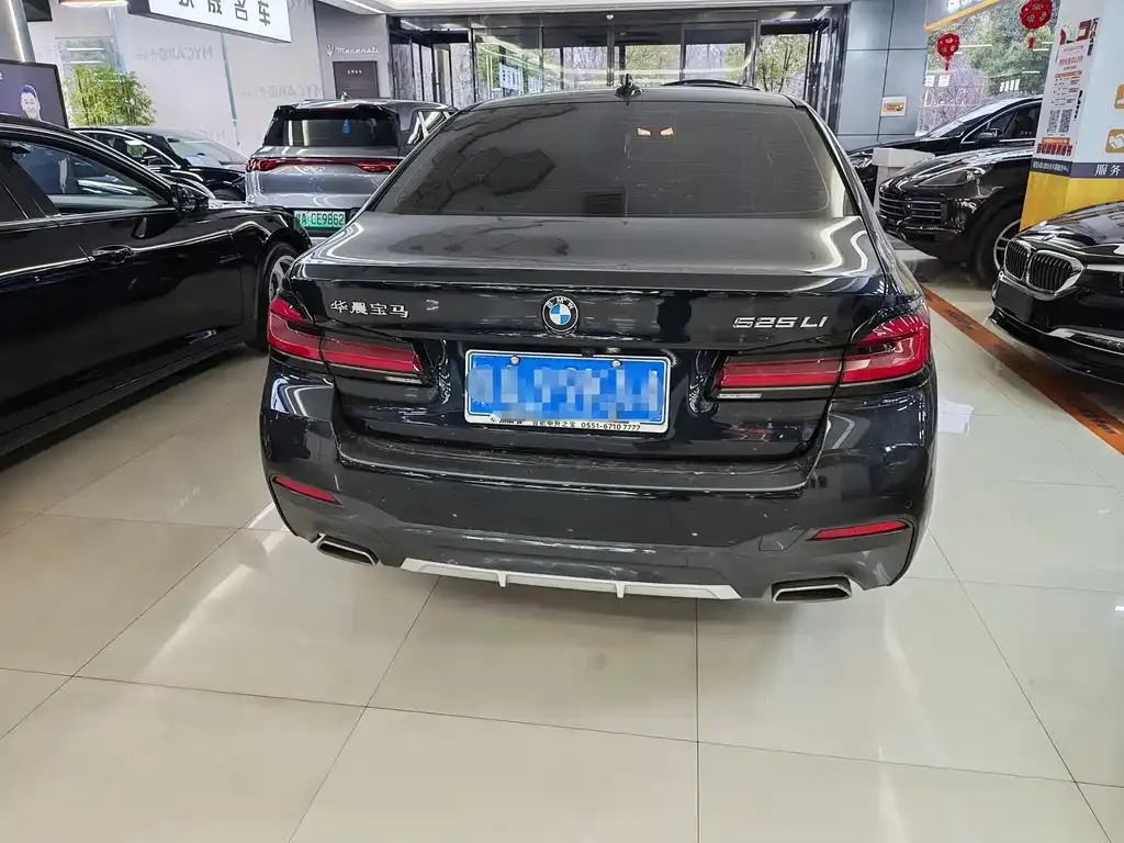 BMW 5 Series 2023 из CN, фото 4
