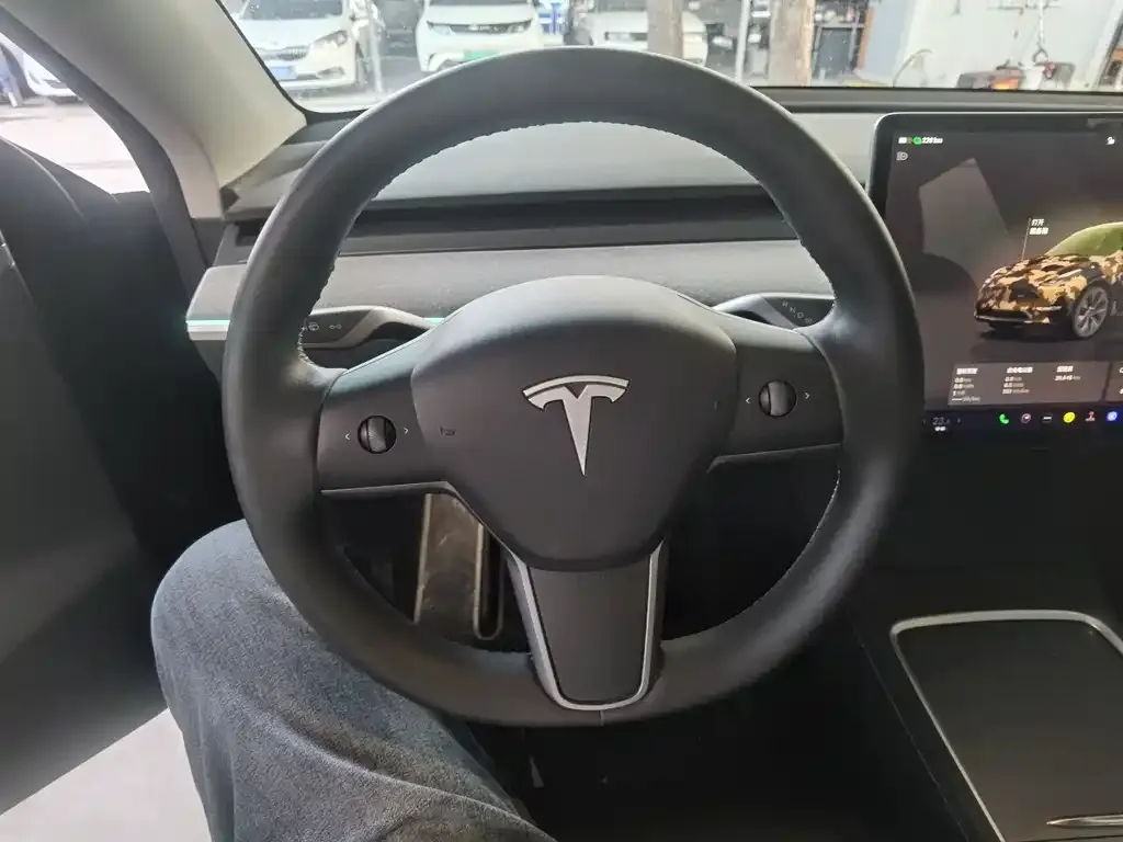 Tesla Model Y 2023 из CN, фото 3