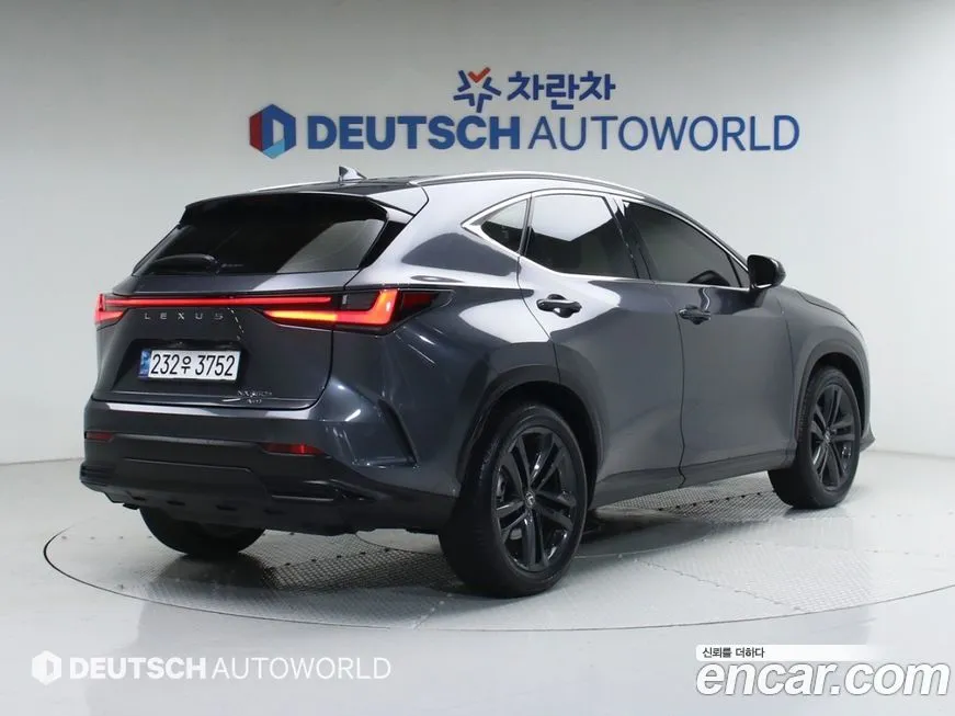 Lexus NX 2025 из KR, фото 3