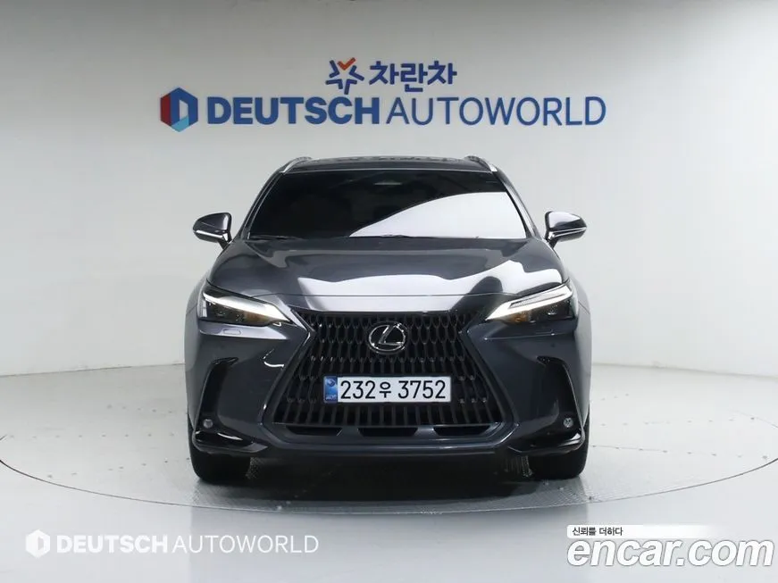 Lexus NX 2025 из KR, фото 6