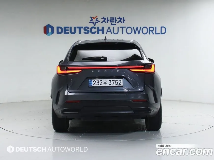 Lexus NX 2025 из KR, фото 5