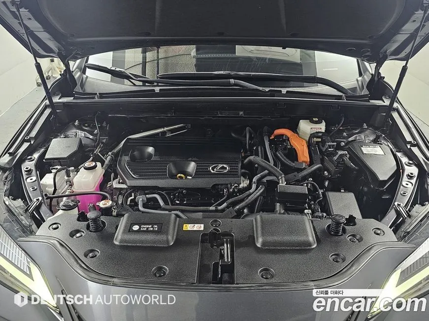 Lexus NX 2025 из KR, фото 7