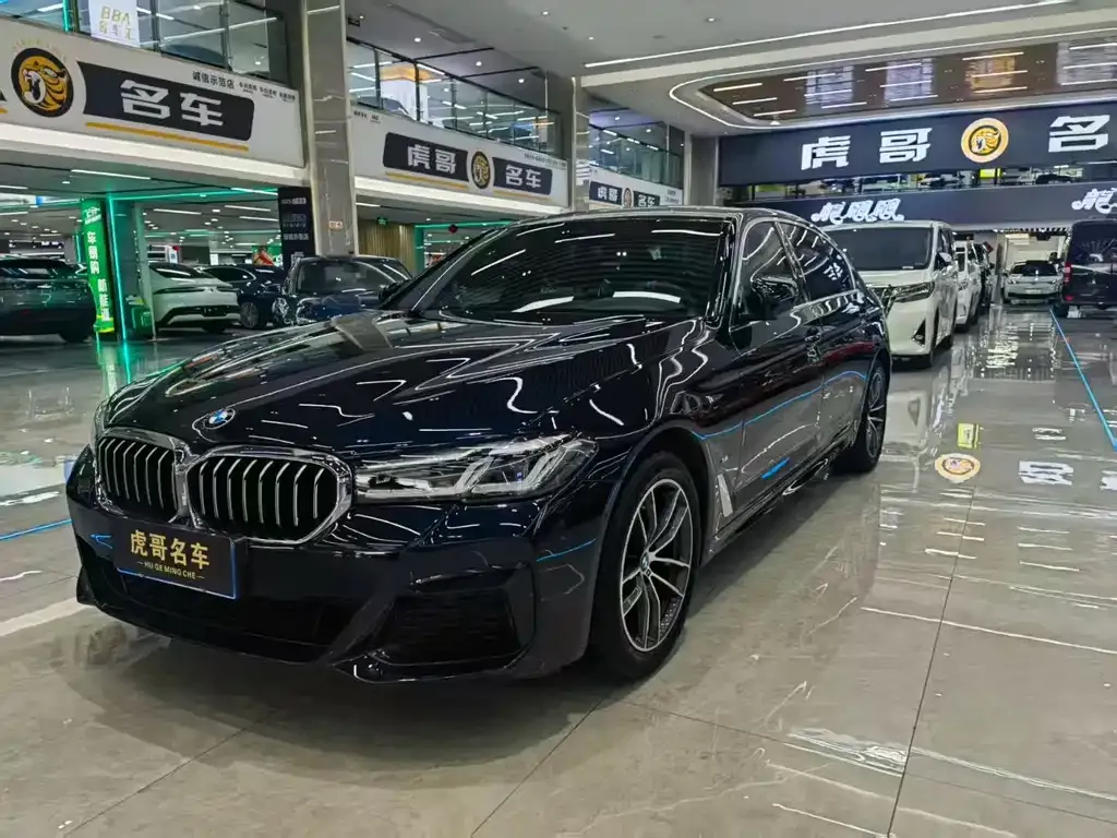 BMW 5 Series 2021 из CN, фото 1