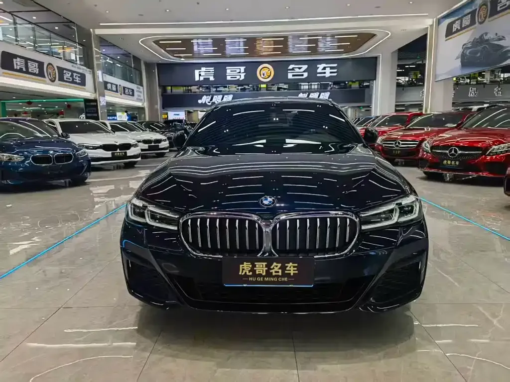 BMW 5 Series 2021 из CN, фото 9