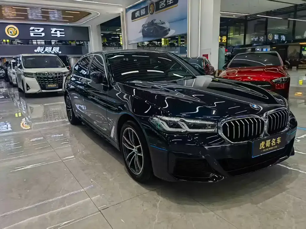 BMW 5 Series 2021 из CN, фото 8