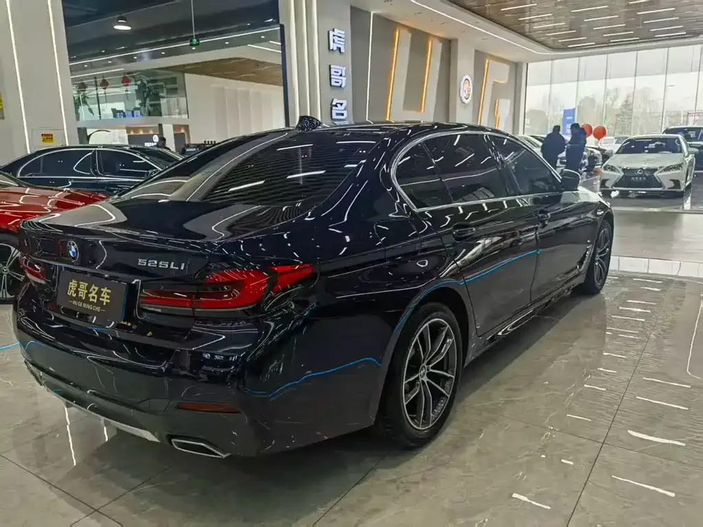 BMW 5 Series 2021 из CN, фото 7