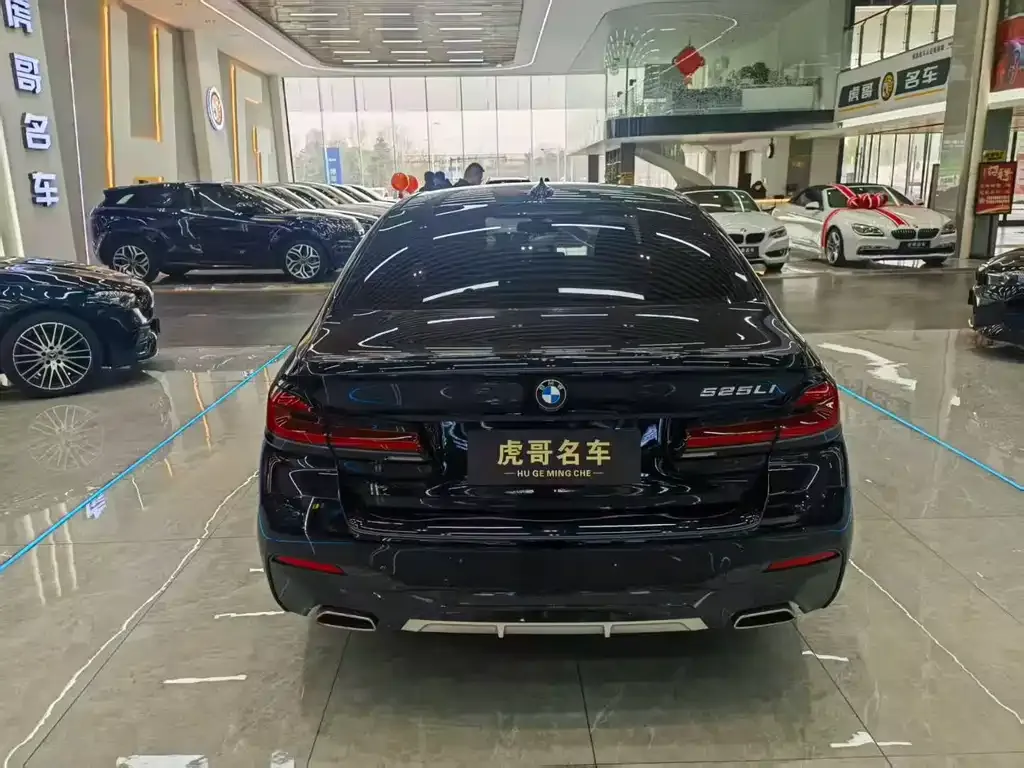 BMW 5 Series 2021 из CN, фото 3