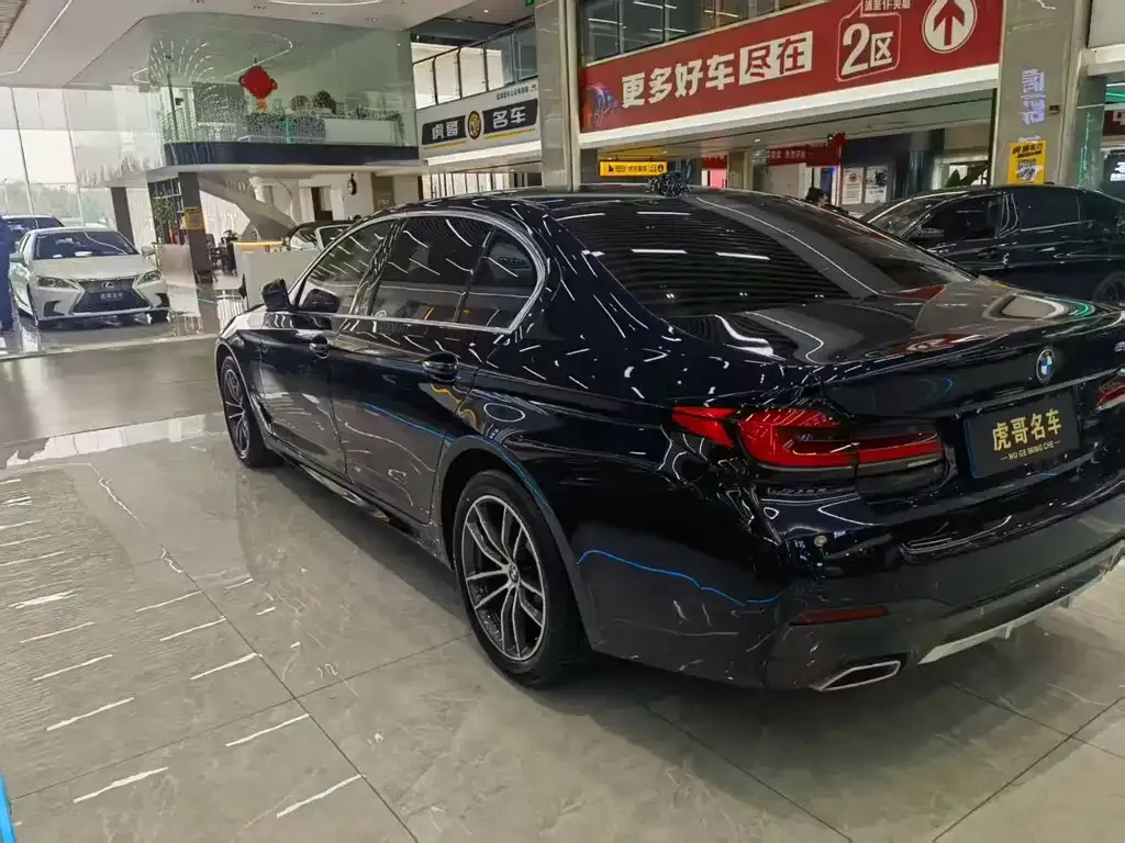 BMW 5 Series 2021 из CN, фото 6