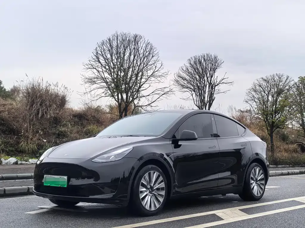 Tesla Model Y — фото 1