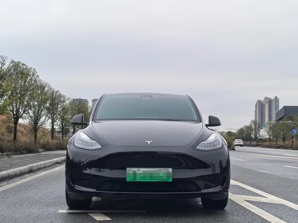 Tesla Model Y — фото 9