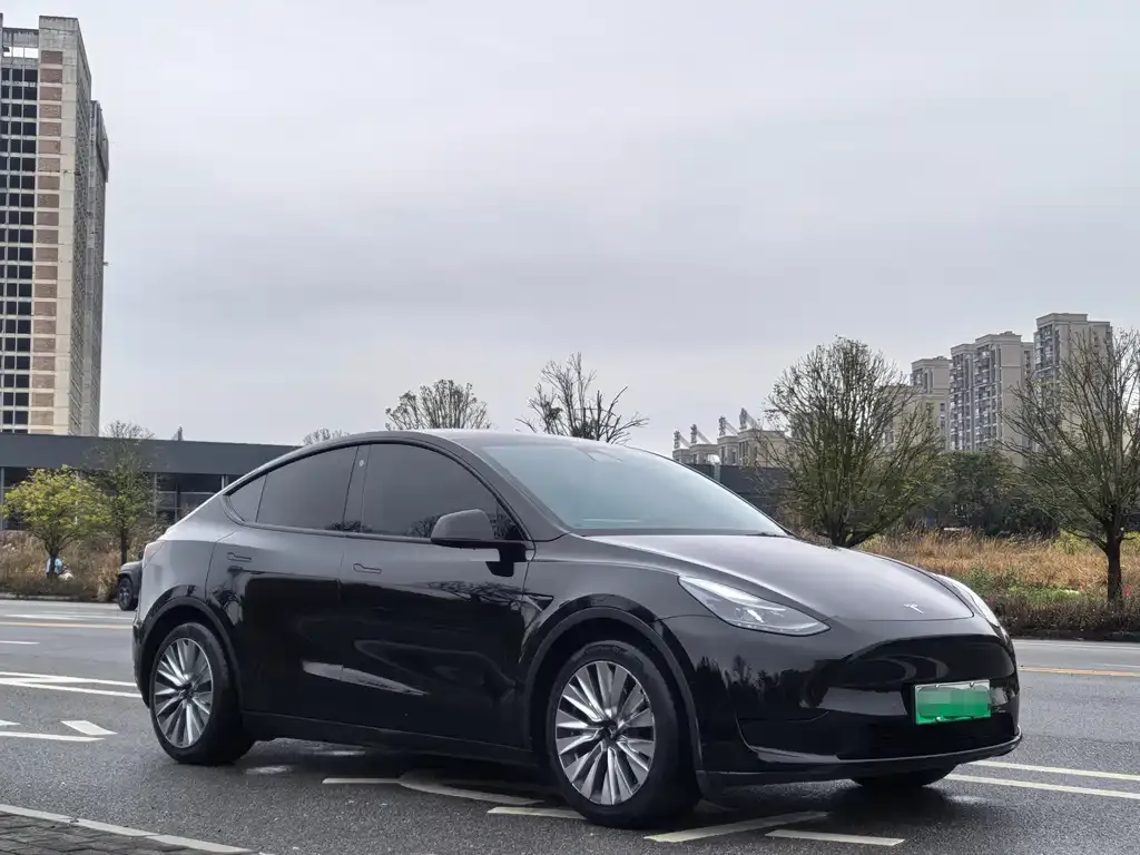 Tesla Model Y — фото 8