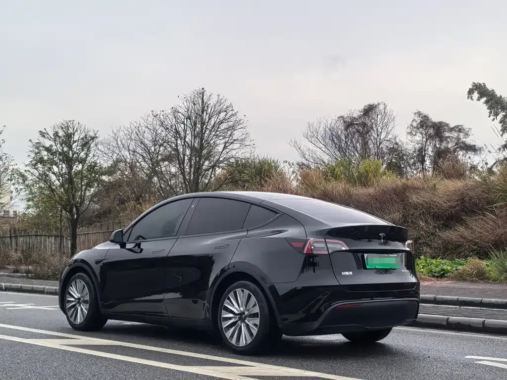 Tesla Model Y — фото 5