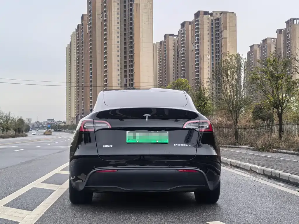 Tesla Model Y — фото 4