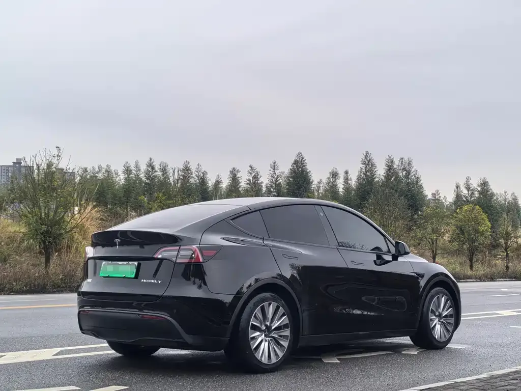 Tesla Model Y — фото 6