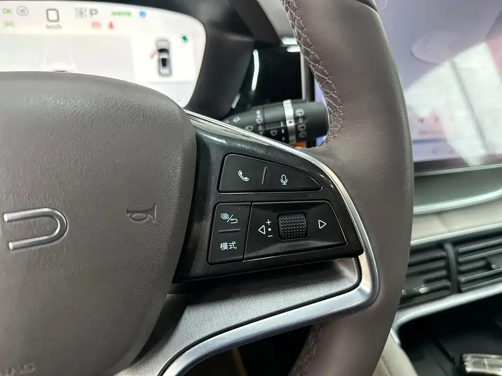 BYD PLUS New Energy 2024 из CN, фото 4