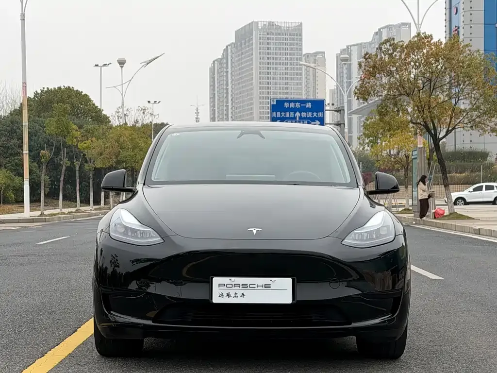 Tesla Model Y — фото 3