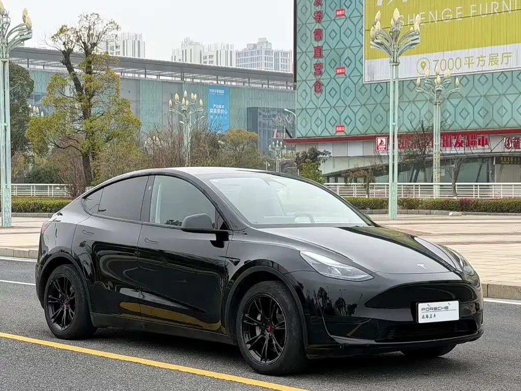 Tesla Model Y — фото 9