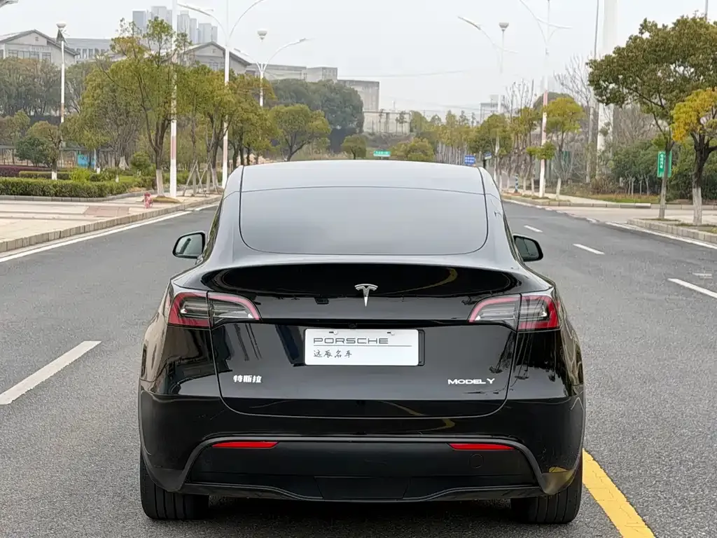 Tesla Model Y — фото 2