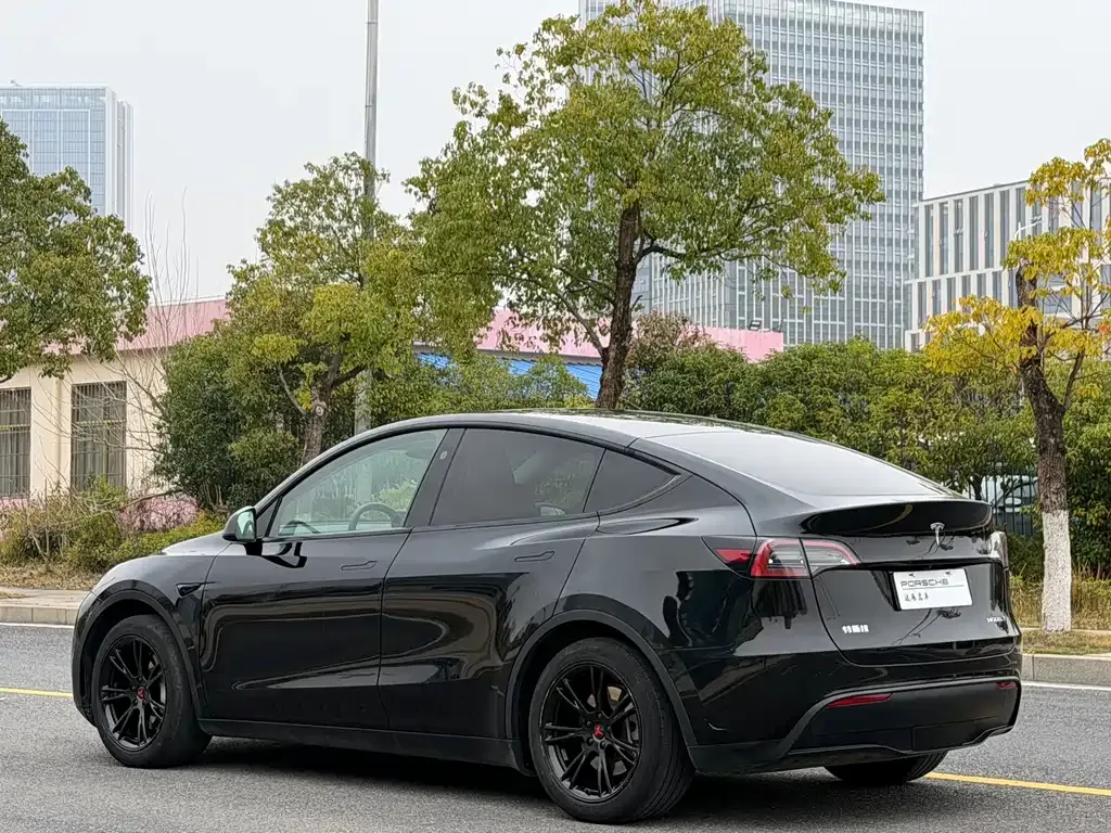 Tesla Model Y — фото 8