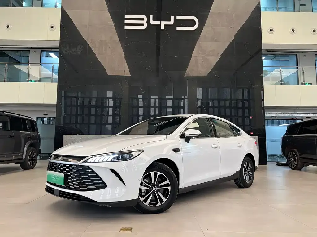 BYD Qin PLUS — фото 1