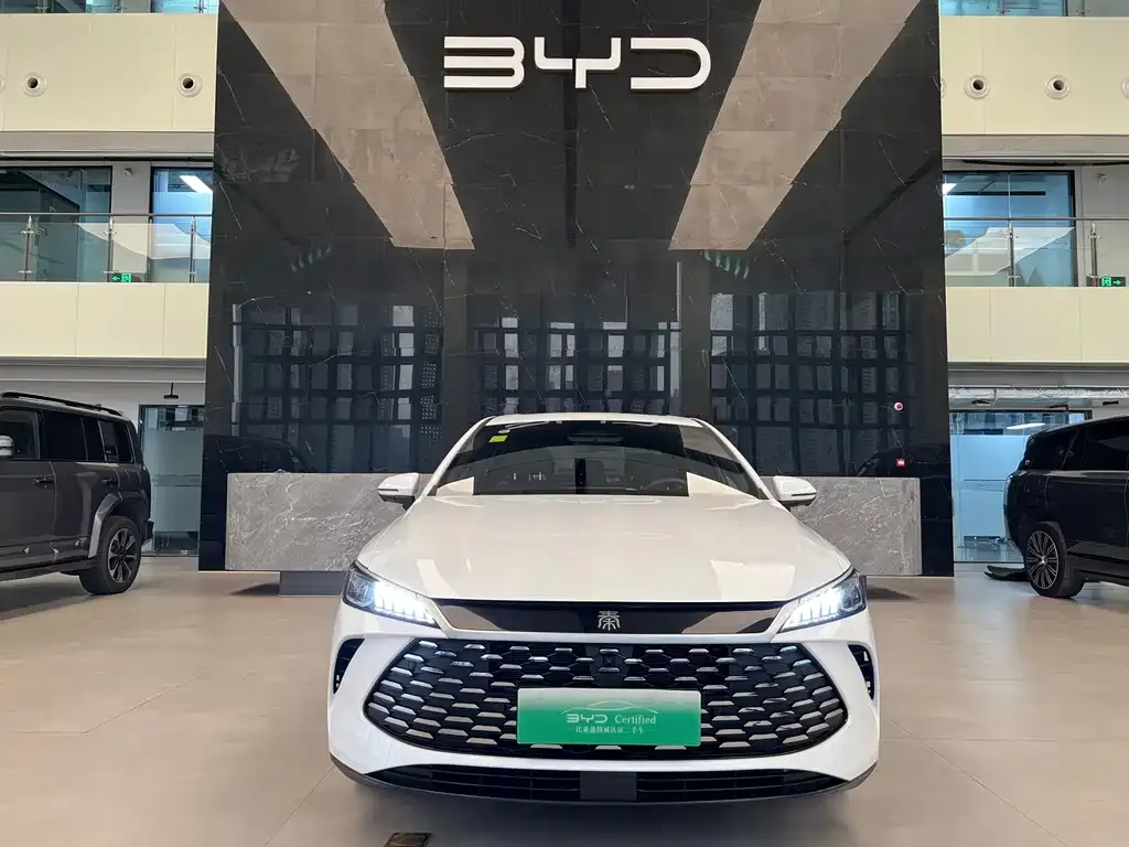 BYD Qin PLUS — фото 3