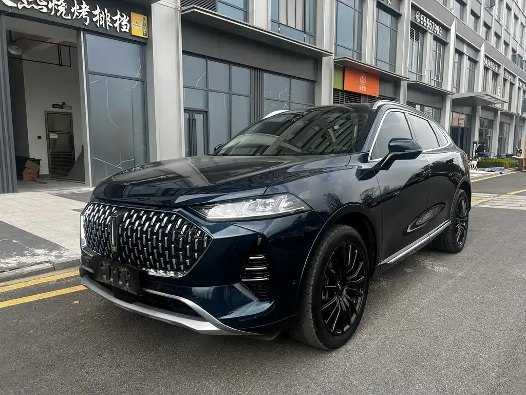 Wey Mocha New Energy 2023 из CN, фото 1