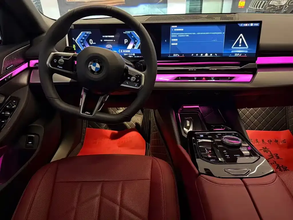 BMW 5 Series 2024 из CN, фото 6