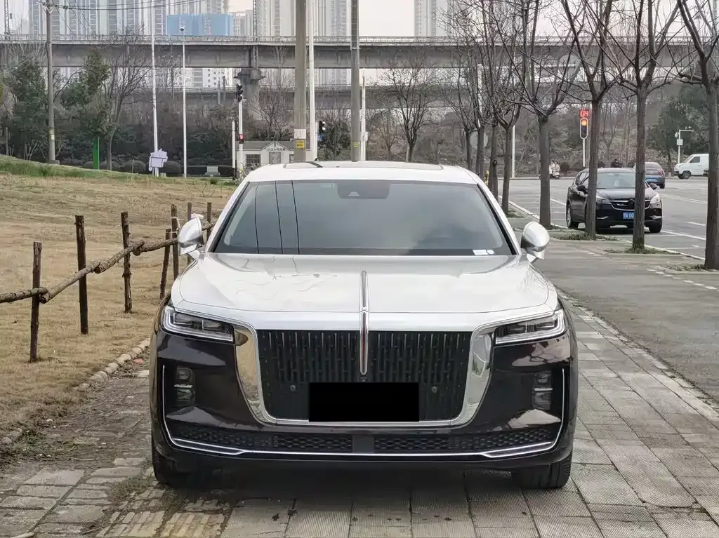 Hongqi H9 2021 из CN, фото 9