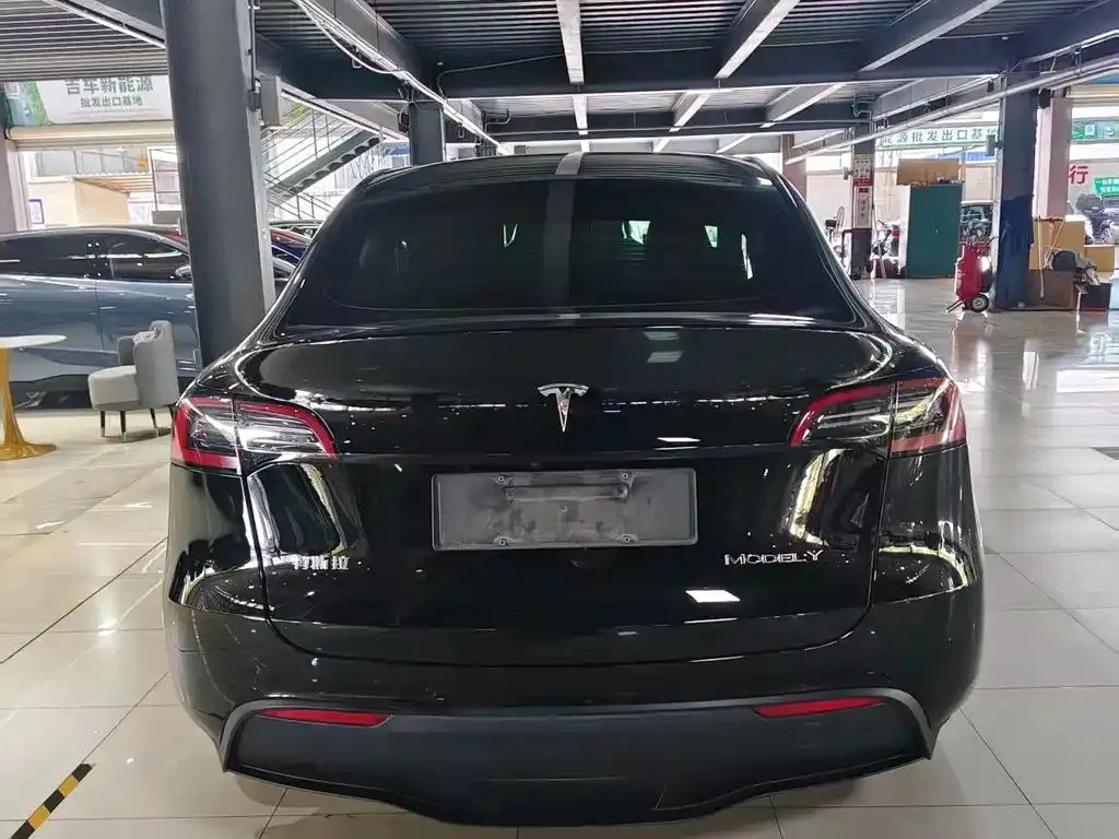Tesla Model Y 2023 из CN, фото 7