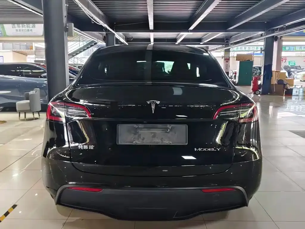 Tesla Model Y 2023 из CN, фото 4