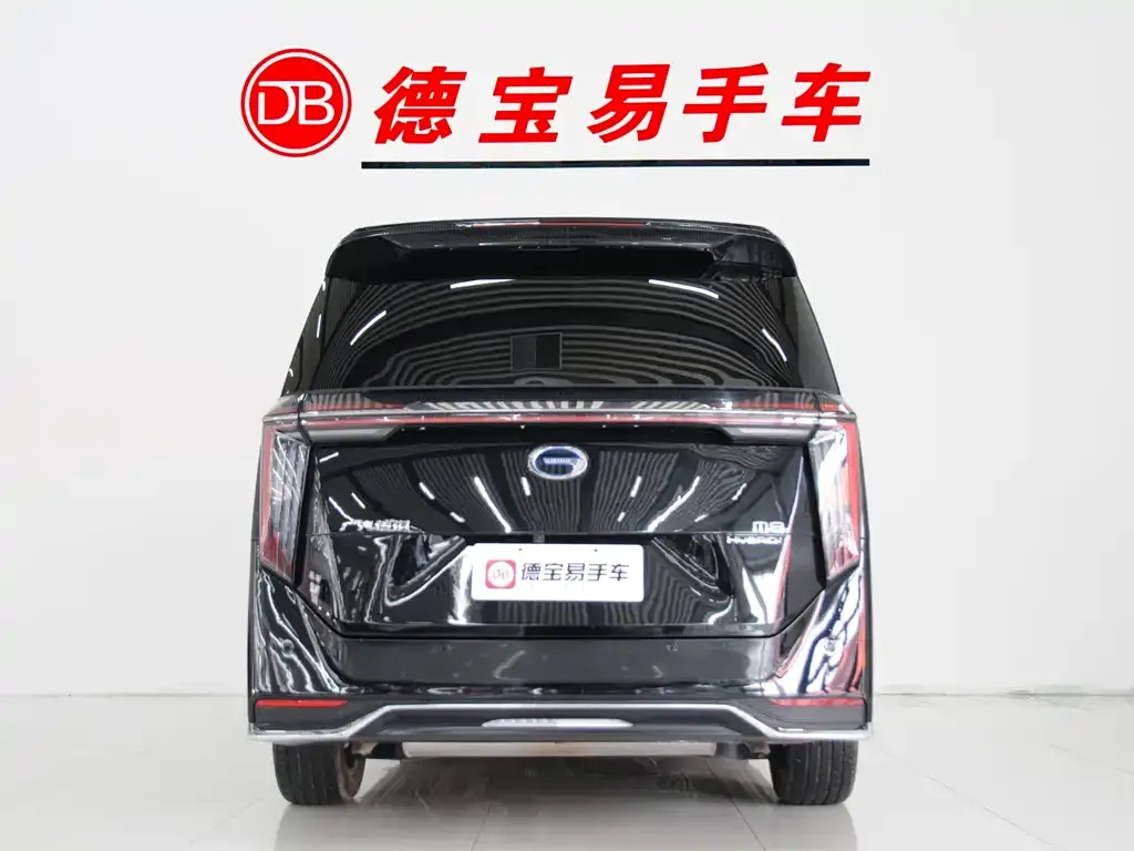 GAC Motor Trumpchi M8 2024 из CN, фото 5
