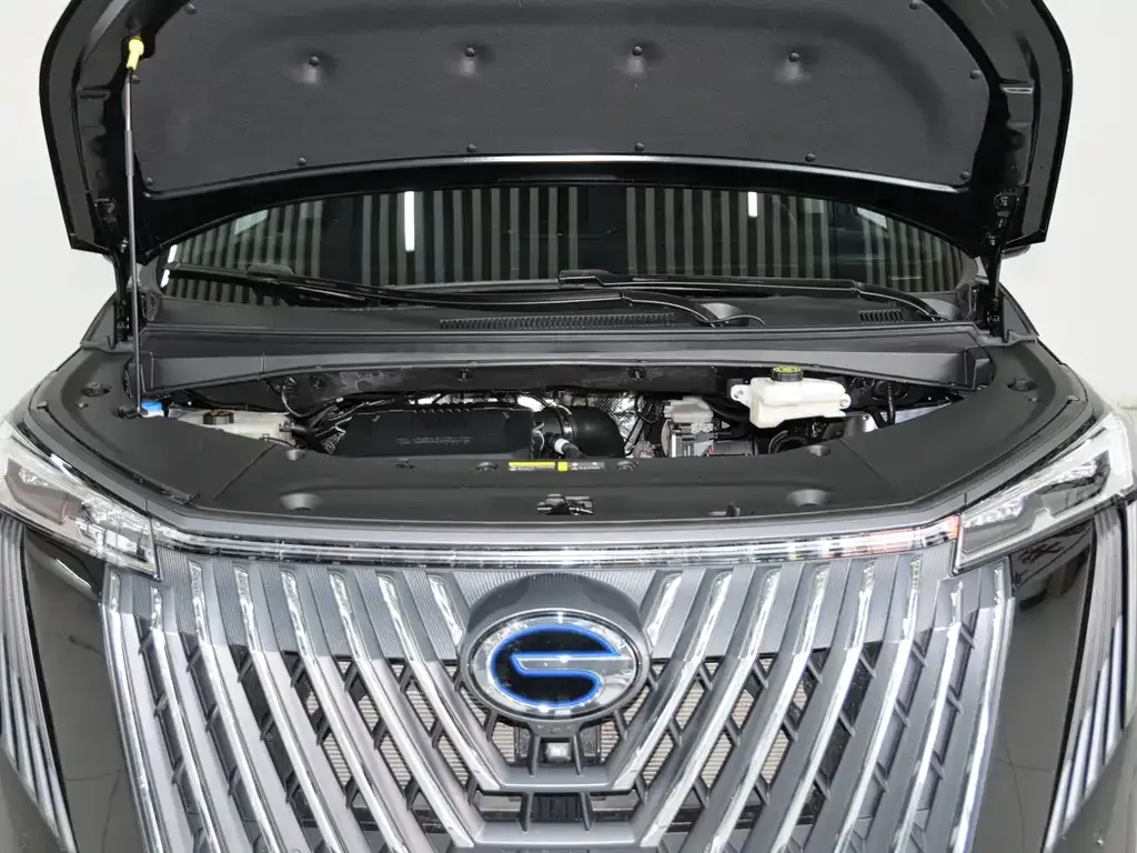 GAC Motor Trumpchi M8 2024 из CN, фото 4