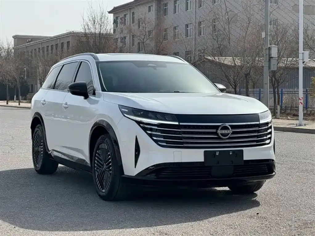 Nissan Teramont 2024 из CN, фото 2