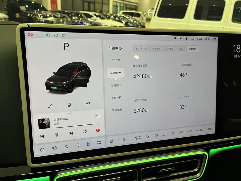 Li Auto L8 2023 из CN, фото 6