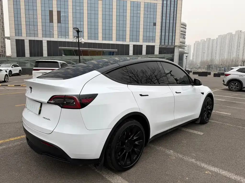 Tesla Model Y — фото 9