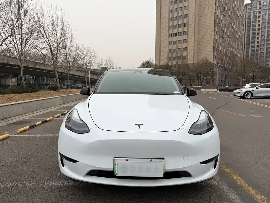 Tesla Model Y — фото 6