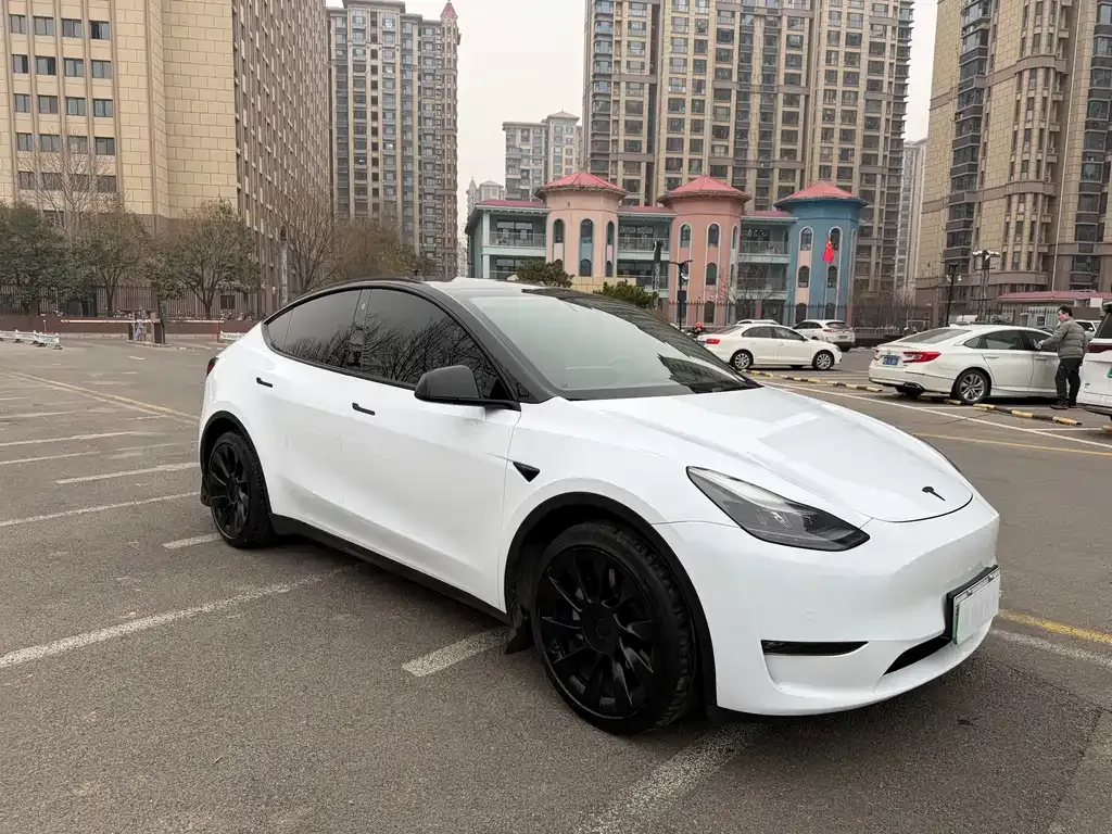 Tesla Model Y — фото 8