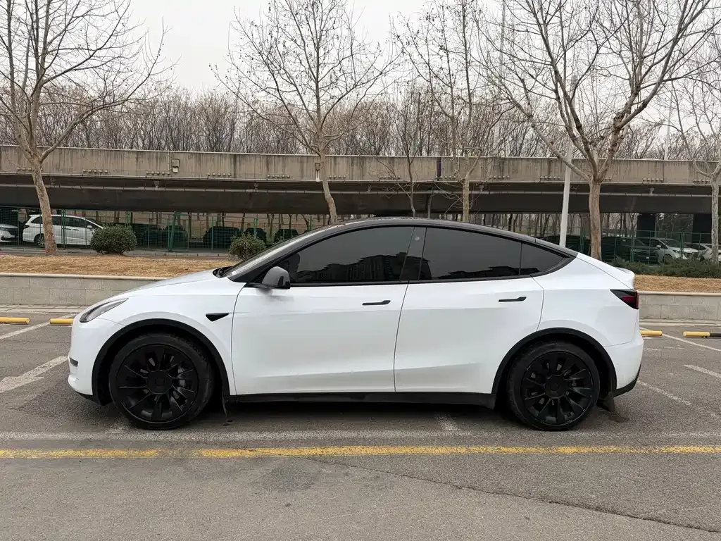 Tesla Model Y — фото 10
