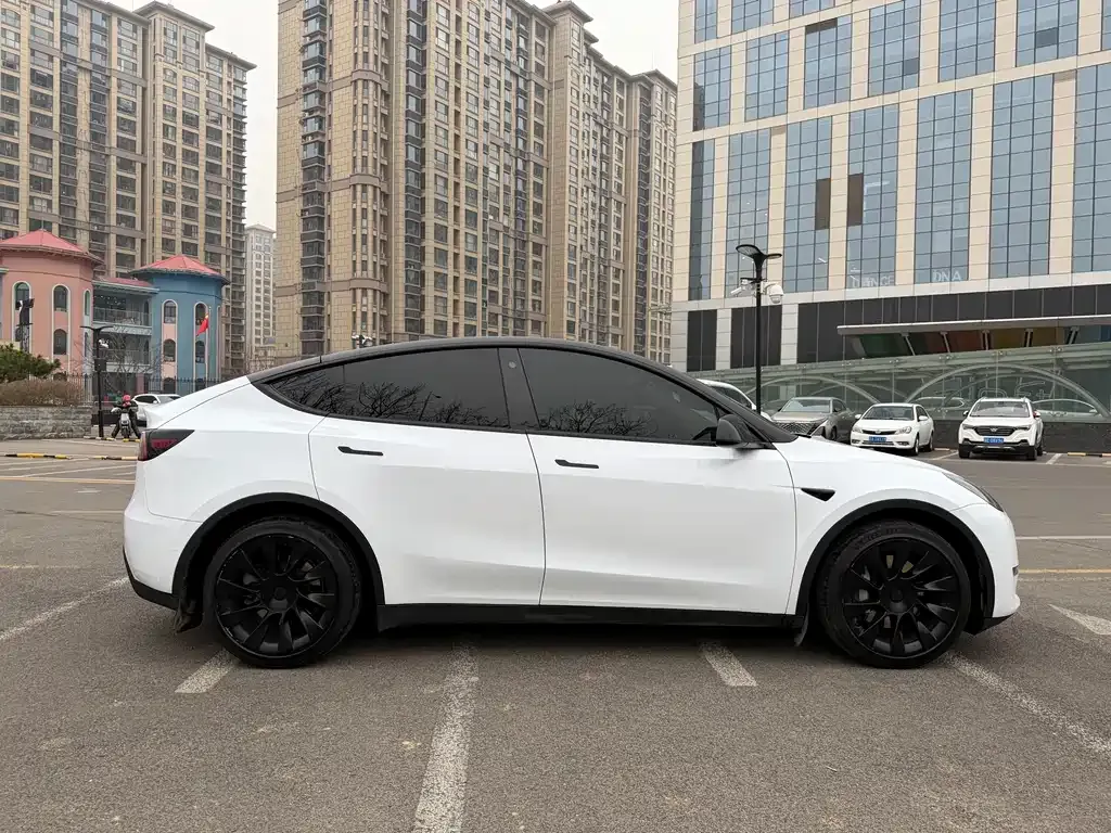 Tesla Model Y — фото 7