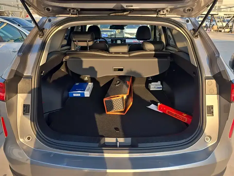 Haval H6 2024 из CN, фото 5