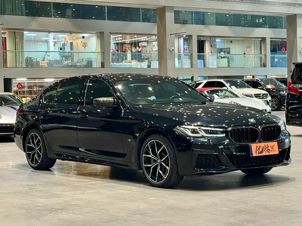 BMW 5 Series 2023 из CN, фото 4