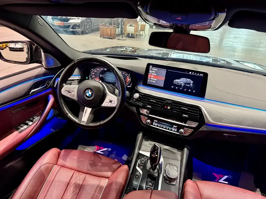 BMW 5 Series 2023 из CN, фото 6