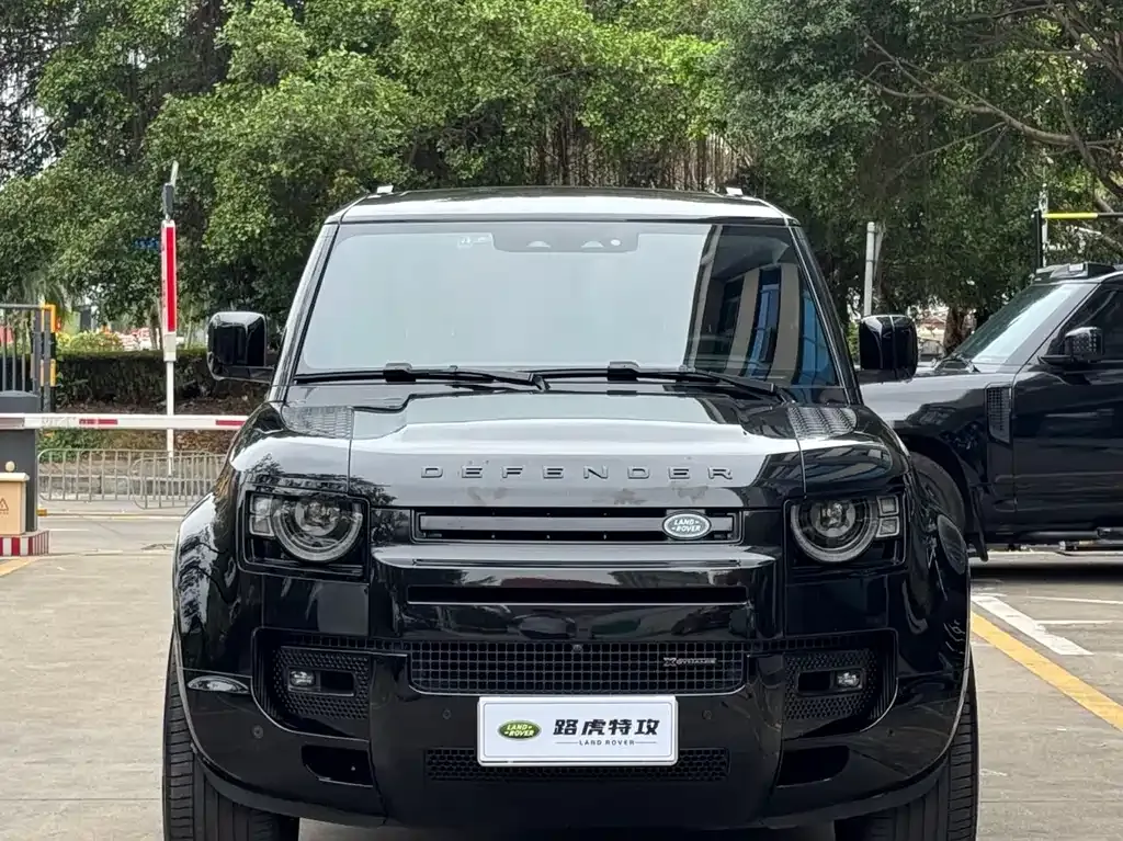Land Rover Defender 2022 из CN, фото 2