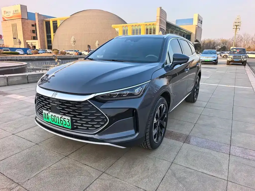 BYD Tang New Energy — фото 10
